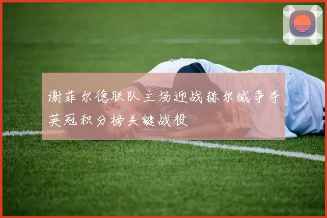 谢菲尔德联队主场迎战赫尔城争夺英冠积分榜关键战役